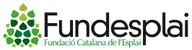 Fundació Catalana de L'Esplai (Fundesplai)