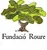 Fundació Roure 