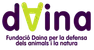 Fundació Daina (No renovada - 2026)