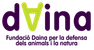 Fundació Daina