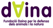Fundació Daina
