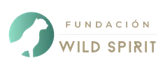 Fundación Wildlife Conservation Medicine (Wild Spirit Fund)