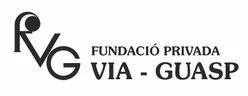 Fundació Via-Guasp