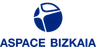 ASPACE BIZKAIA (FEVASPACE)