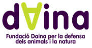 Fundació Daina (No renovada - 2026)