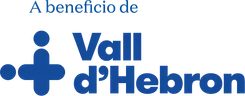 Vall d’Hebron Barcelona Hospital Campus - Vall d’Hebron Institut de Recerca (VHIR)