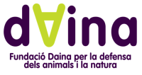 Fundació Daina (No renovada - 2026)